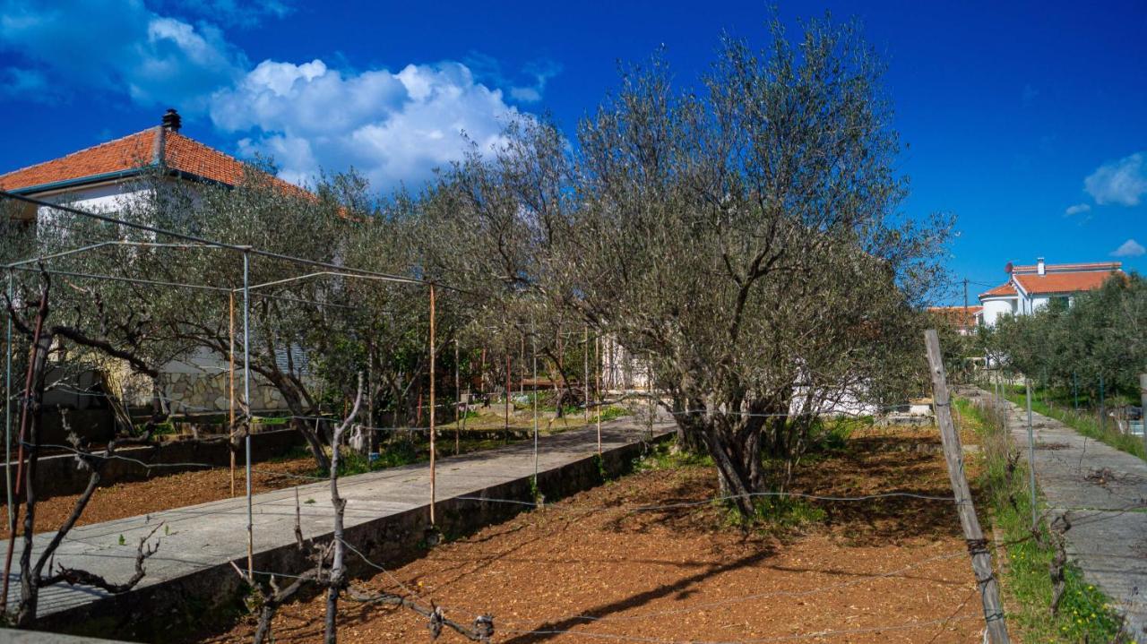 Vecchia Oliva,Kuljica Villa Kukljica Luaran gambar