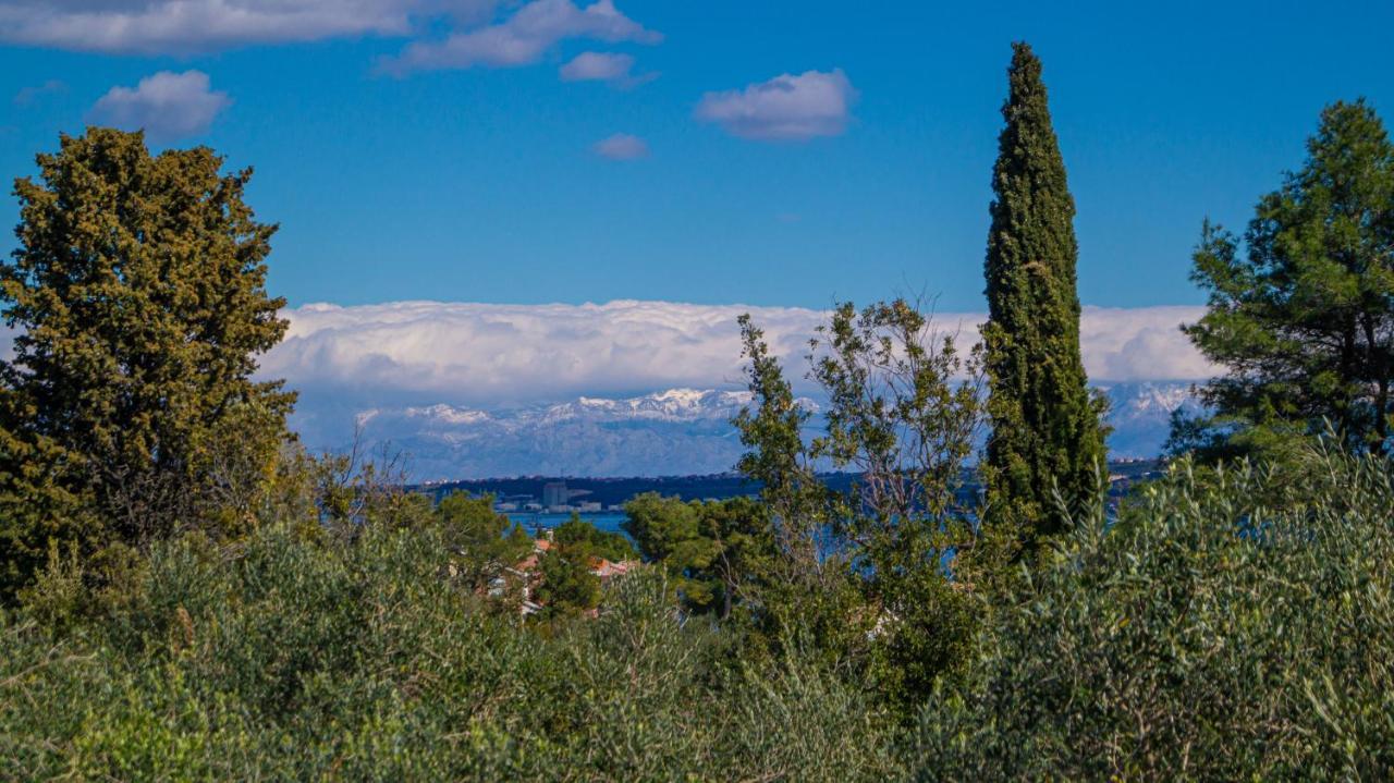 Vecchia Oliva,Kuljica Villa Kukljica Luaran gambar