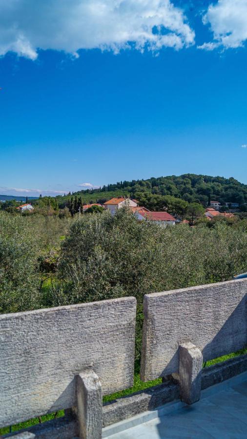 Vecchia Oliva,Kuljica Villa Kukljica Luaran gambar