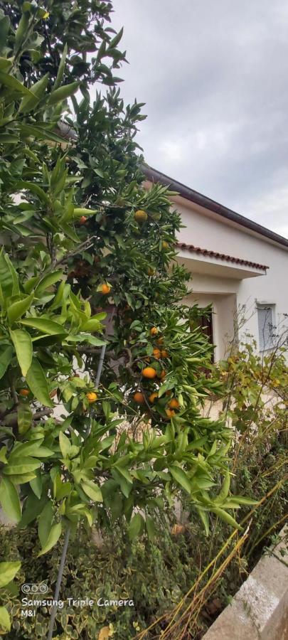 Vecchia Oliva,Kuljica Villa Kukljica Luaran gambar