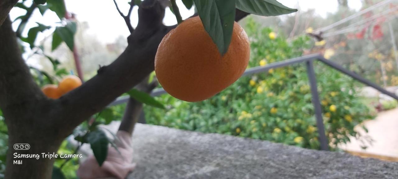 Vecchia Oliva,Kuljica Villa Kukljica Luaran gambar