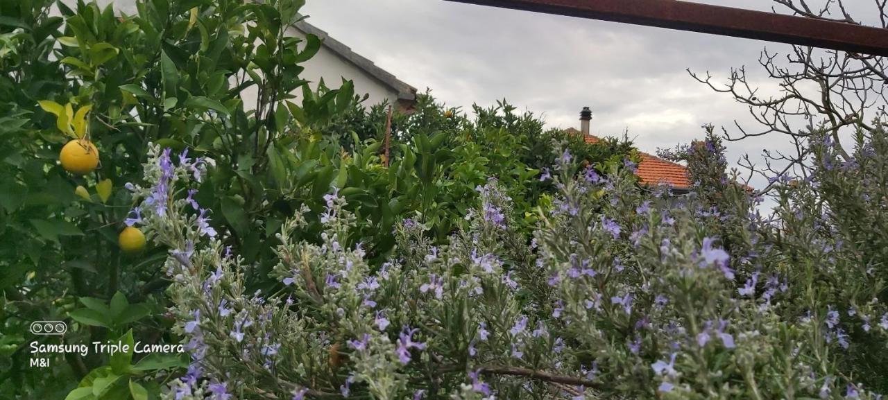 Vecchia Oliva,Kuljica Villa Kukljica Luaran gambar